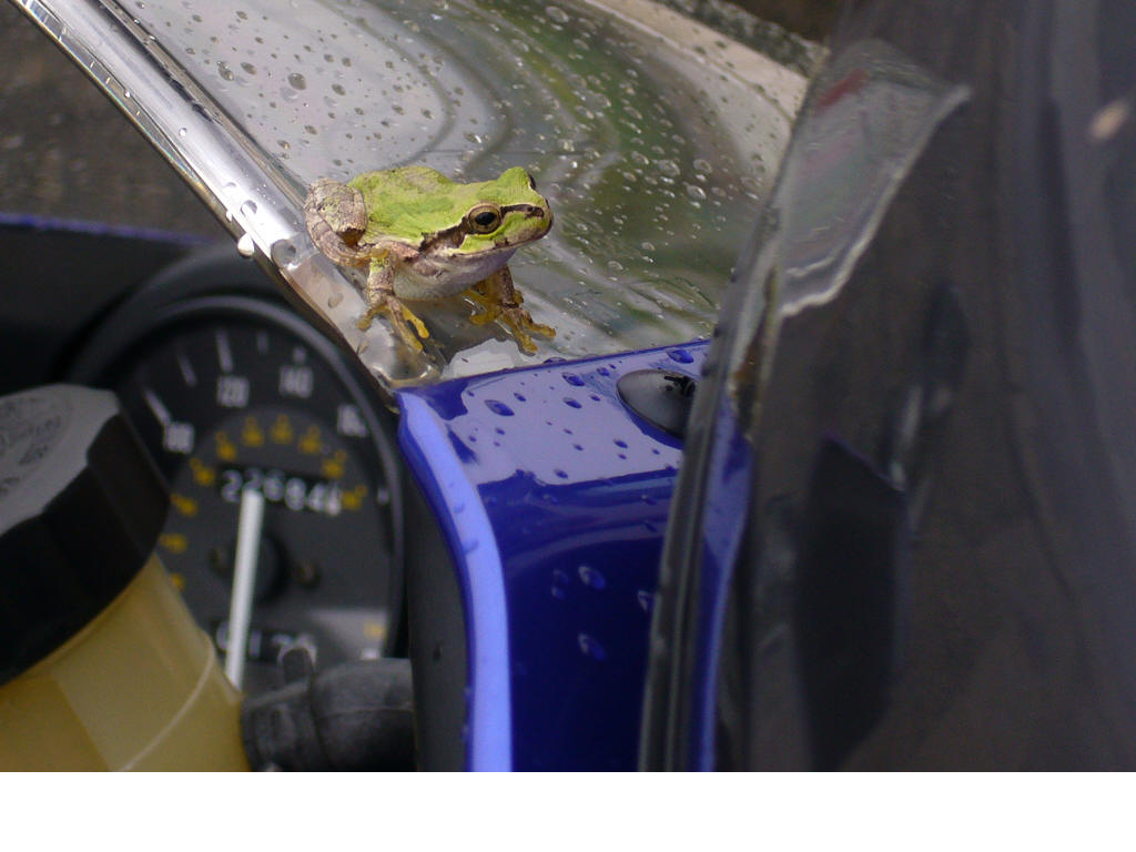 �q�g�����R�֍s���r���̗X�֋ǂɂ����J�^